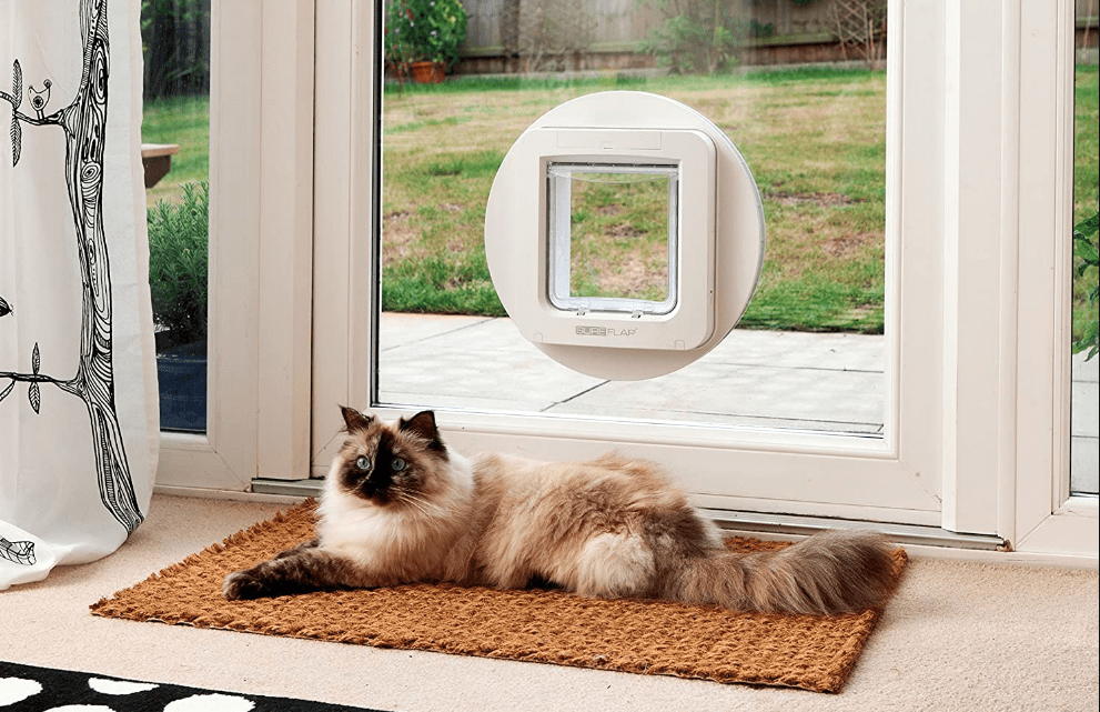 Cat flap hot sale